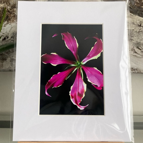 “YOU SPIN ME ROUND” ~ ORIGINAL ART by ~ @lisamichellebeckerphotography - Picture 11 of 13